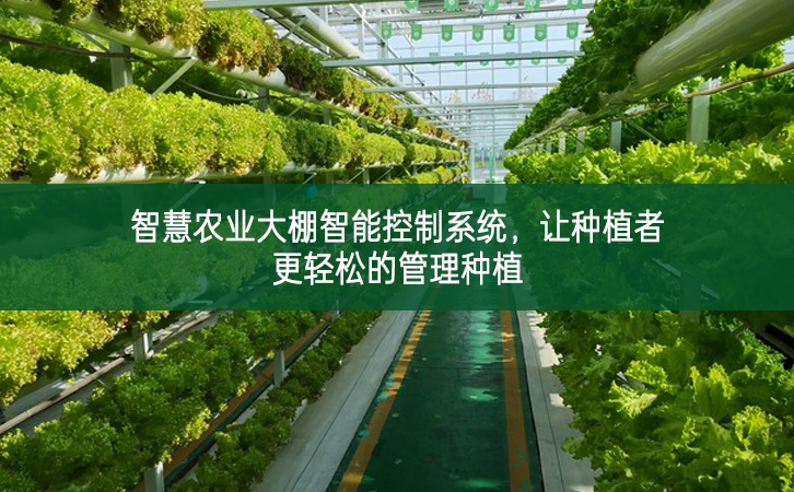 智慧農(nóng)業(yè)大棚智能控制系統(tǒng)，讓種植者更輕松的管理種植