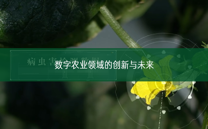 數(shù)字農(nóng)業(yè)領(lǐng)域的創(chuàng)新與未來