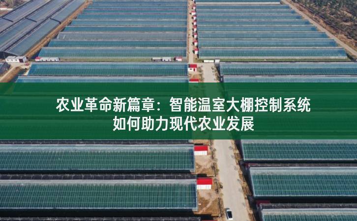 農業革命新篇章：智能溫室大棚控制系統如何助力現代農業發展