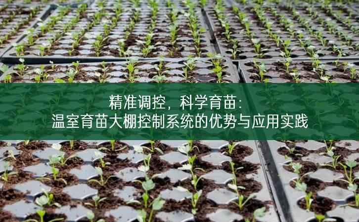 精準(zhǔn)調(diào)控，科學(xué)育苗：溫室育苗大棚控制系統(tǒng)的優(yōu)勢(shì)與應(yīng)用實(shí)踐