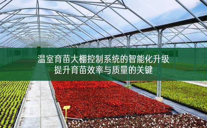 溫室育苗大棚控制系統(tǒng)的智能化升級(jí)：提升育苗效率與質(zhì)量的關(guān)鍵
