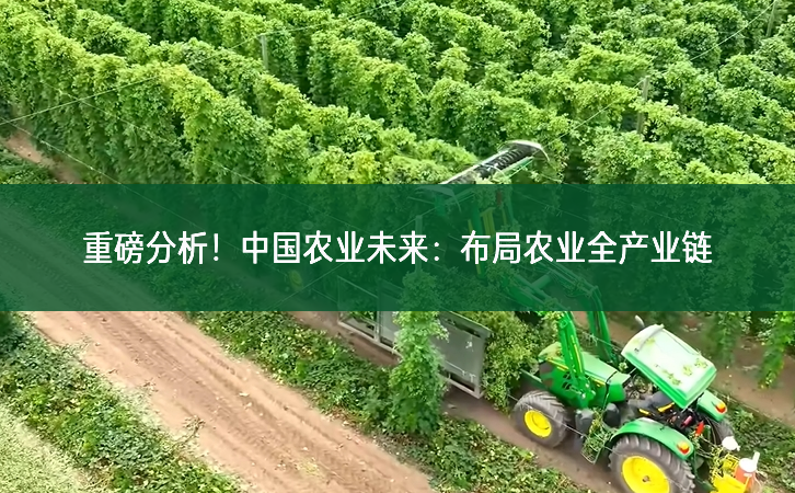 重磅分析！中國(guó)農(nóng)業(yè)未來(lái)：布局農(nóng)業(yè)全產(chǎn)業(yè)鏈