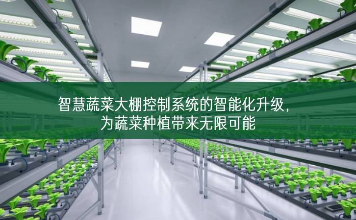 智慧蔬菜大棚控制系統(tǒng)的智能化升級(jí)，為蔬菜種植帶來無限可能