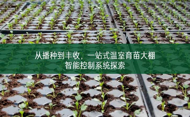 從播種到豐收，一站式溫室育苗大棚智能控制系統探索