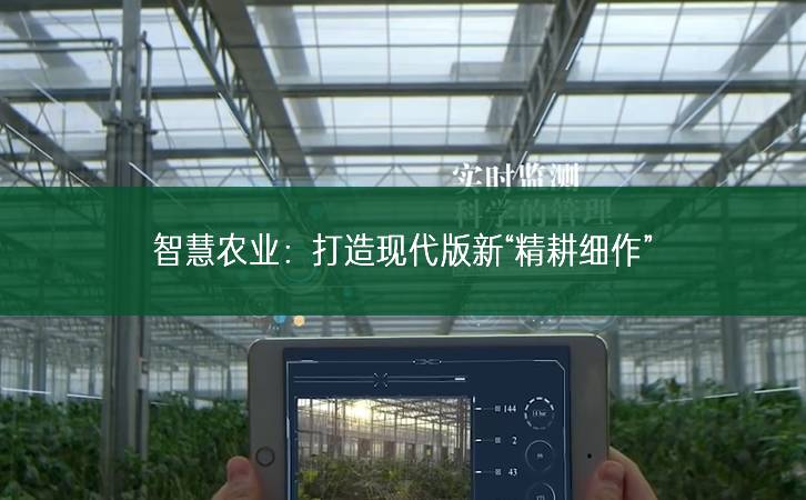 智慧農業(yè)：打造現代版新“精耕細作”