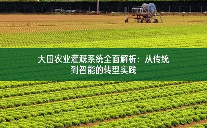 大田農業灌溉系統全面解析：從傳統到智能的轉型實踐
