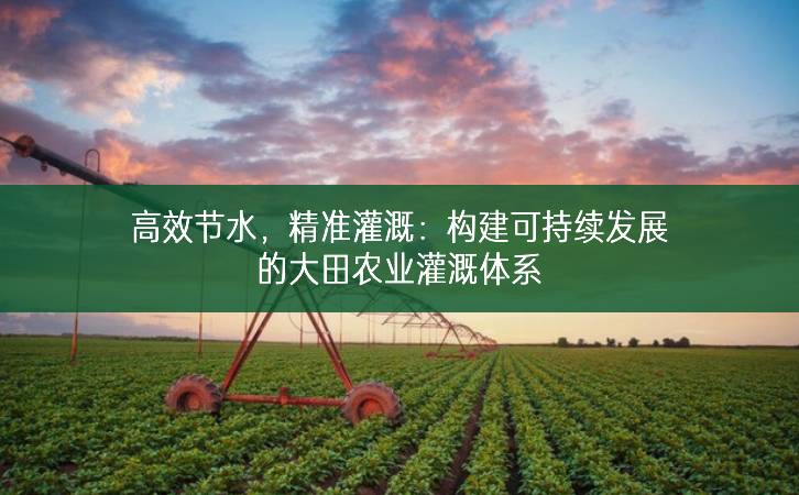 高效節水，精準灌溉：構建可持續發展的大田農業灌溉體系