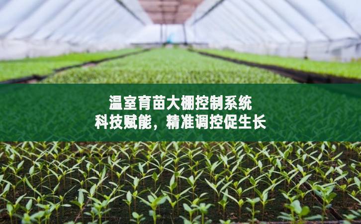 溫室育苗大棚控制系統(tǒng)：科技賦能，精準(zhǔn)調(diào)控促生長(zhǎng)