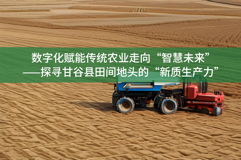 數字化賦能傳統農業走向“智慧未來”——探尋甘谷縣田間地頭的“新質生產力”