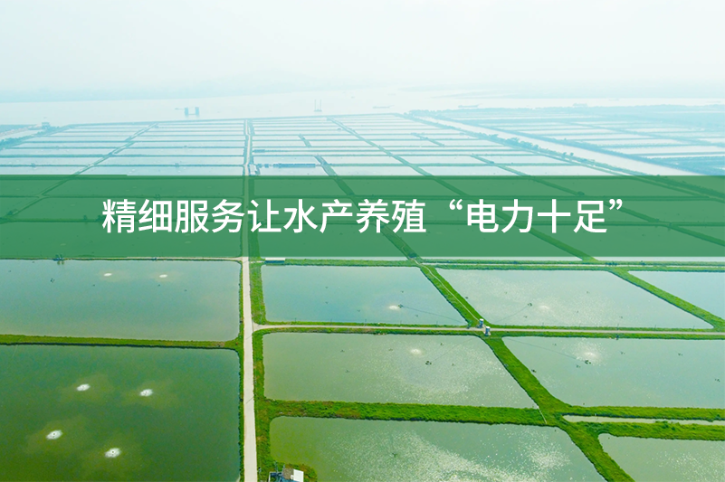 精細服務讓水產養殖“電力十足”