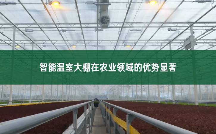 智能溫室大棚在農(nóng)業(yè)領(lǐng)域的優(yōu)勢顯著