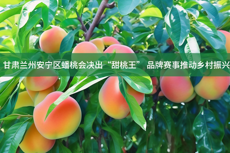 甘肅蘭州安寧區蟠桃會決出“甜桃王” 品牌賽事推動鄉村振興