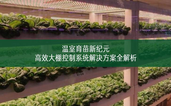 溫室育苗新紀(jì)元：高效大棚控制系統(tǒng)解決方案全解析