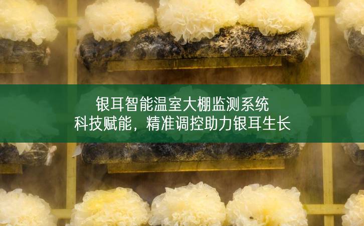 銀耳智能溫室大棚監測系統：科技賦能，精準調控助力銀耳生長
