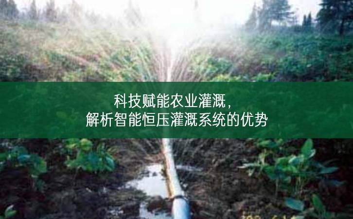 科技賦能農(nóng)業(yè)灌溉，解析智能恒壓灌溉系統(tǒng)的優(yōu)勢