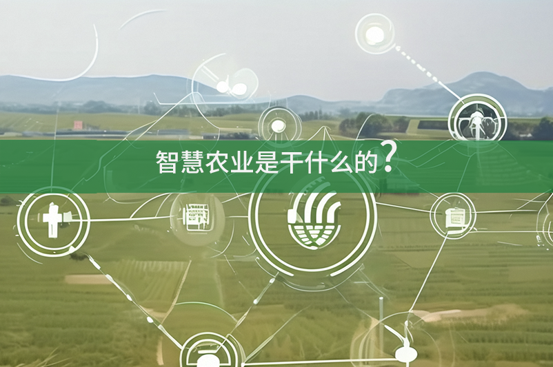 智慧農業是干什么的?