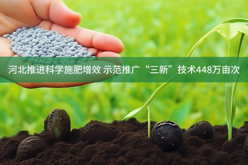 河北推進科學施肥增效 示范推廣“三新”技術448萬畝次