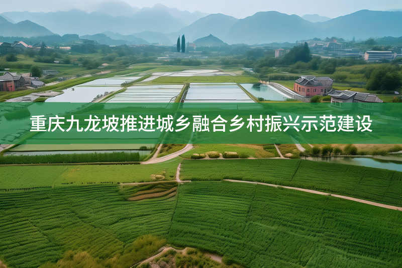 重慶九龍坡推進城鄉融合鄉村振興示范建設