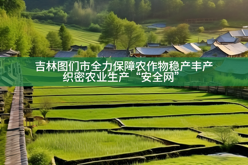 吉林圖們市全力保障農(nóng)作物穩(wěn)產(chǎn)豐產(chǎn)，織密農(nóng)業(yè)生產(chǎn)“安全網(wǎng)”