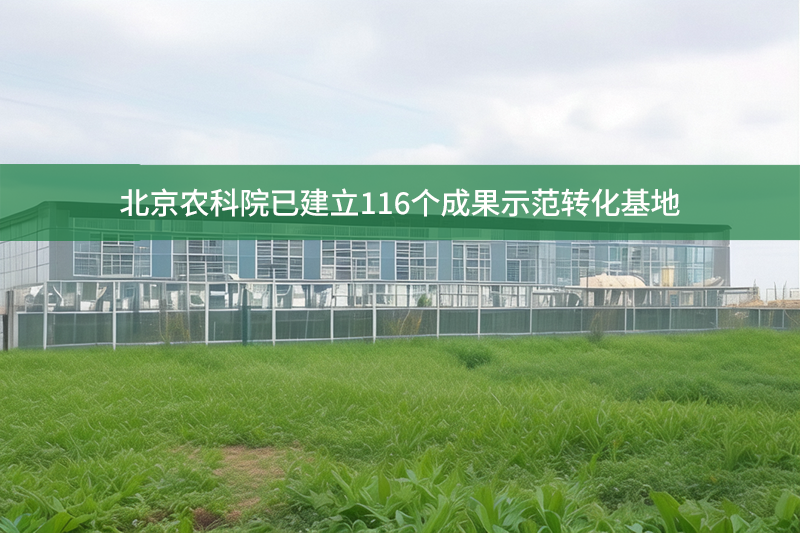 北京農(nóng)科院已建立116個(gè)成果示范轉(zhuǎn)化基地