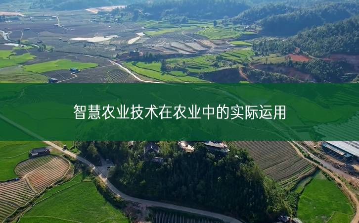 智慧農(nóng)智慧農(nóng)業(yè)技術(shù)在農(nóng)業(yè)中的實(shí)際運(yùn)用