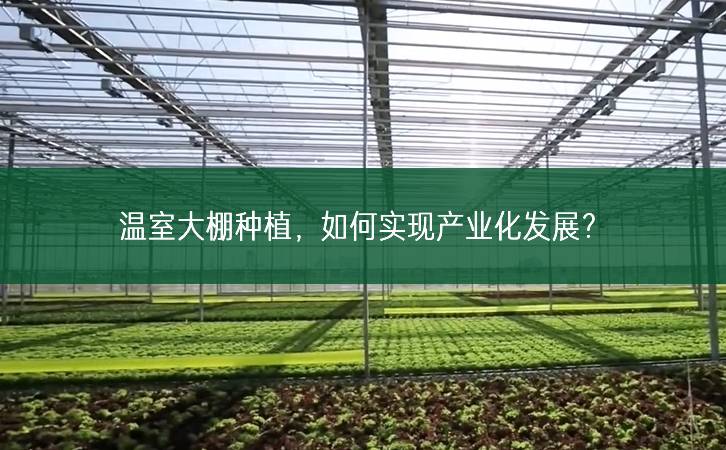 溫室大棚種植，如何實現產業化發展？