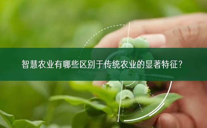 智慧農業有哪些區別于傳統農業的顯著特征？