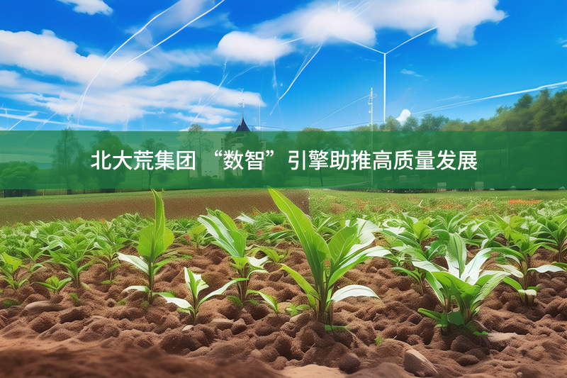 北大荒集團(tuán) “數(shù)智”引擎助推高質(zhì)量發(fā)展