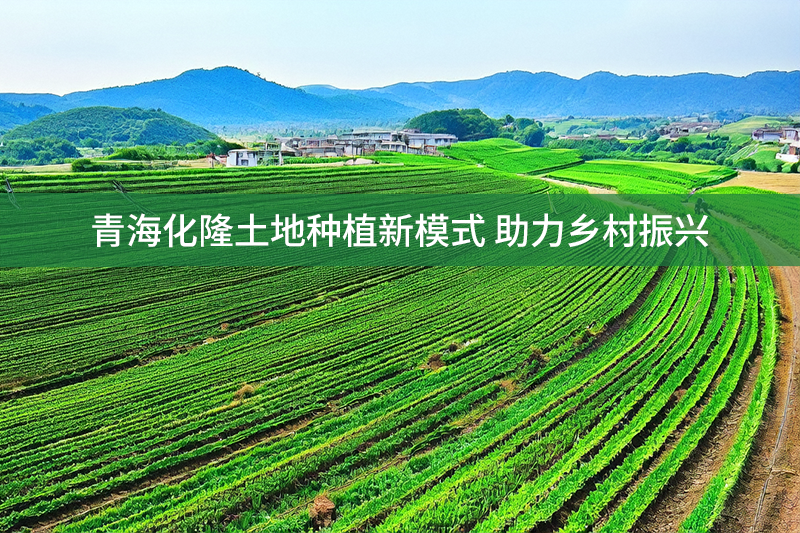 青海化隆土地種植新模式 助力鄉村振興