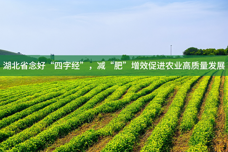 湖北省念好“四字經(jīng)”，減“肥”增效促進農(nóng)業(yè)高質(zhì)量發(fā)展