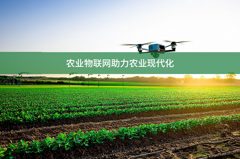 農業物聯網助力農業現代化