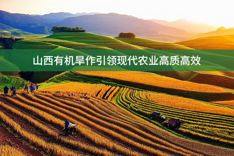 山西有機旱作引領(lǐng)現(xiàn)代農(nóng)業(yè)高質(zhì)高效
