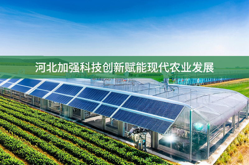 河北加強科技創(chuàng)新賦能現(xiàn)代農(nóng)業(yè)發(fā)展