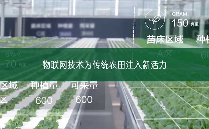 物聯(lián)網(wǎng)技術(shù)為傳統(tǒng)農(nóng)田注入新活力