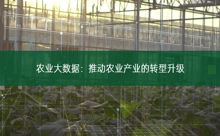 農業(yè)大數據：推動農業(yè)產業(yè)的轉型升級