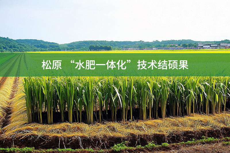 松原 “水肥一體化”技術(shù)結(jié)碩果