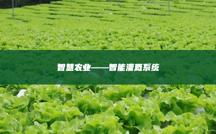 智慧農(nóng)業(yè)——智能灌溉系統(tǒng)