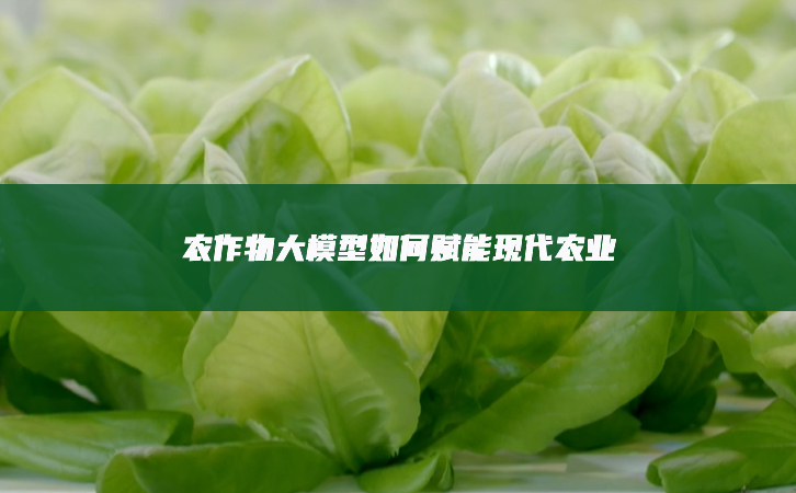 農(nóng)作物大模型如何賦能現(xiàn)代農(nóng)業(yè)