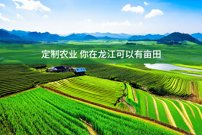 定制農業 你在龍江可以有畝田