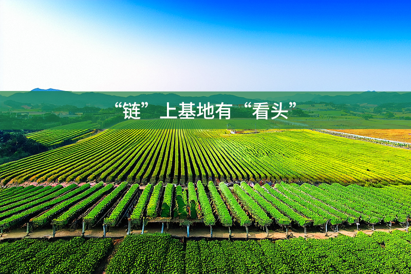 “鏈”上基地有“看頭”