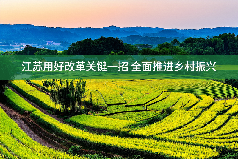 江蘇用好改革關鍵一招 全面推進鄉村振興