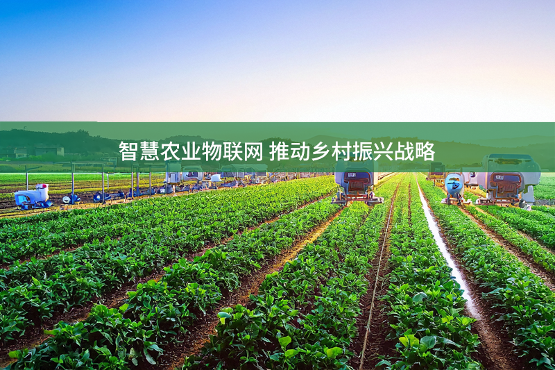 智慧農(nóng)業(yè)物聯(lián)網(wǎng) 推動(dòng)鄉(xiāng)村振興戰(zhàn)略