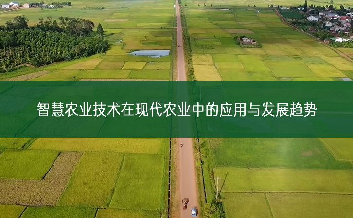 智慧農(nóng)業(yè)技術(shù)在現(xiàn)代農(nóng)業(yè)中的應(yīng)用與發(fā)展趨勢(shì)