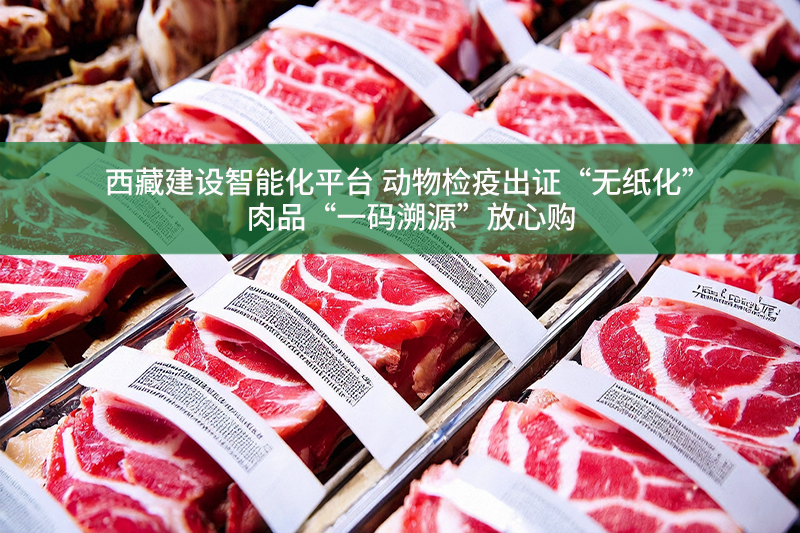 西藏建設智能化平臺 動物檢疫出證“無紙化” 肉品“一碼溯源”放心購