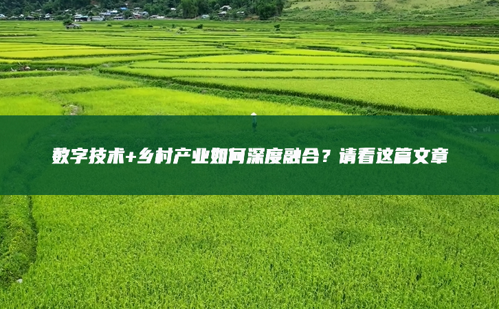 數(shù)字技術(shù)+鄉(xiāng)村產(chǎn)業(yè)如何深度融合？請看這篇文章