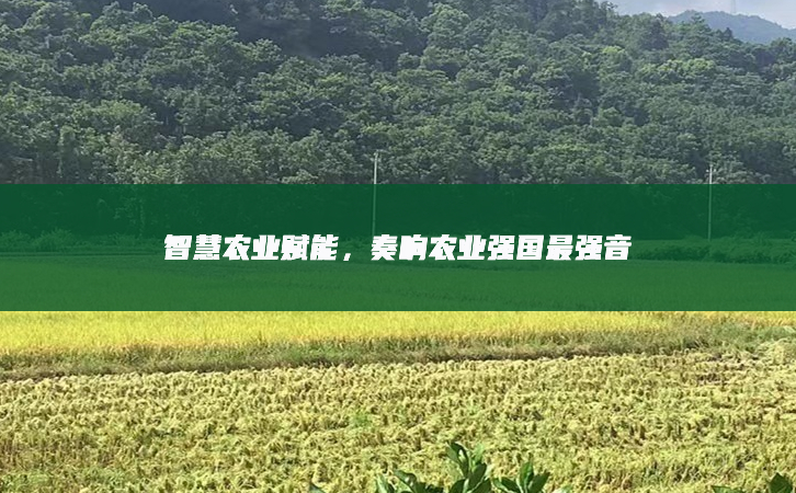 智慧農業賦能，奏響農業強國最強音