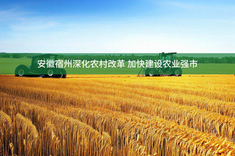 安徽宿州深化農村改革 加快建設農業強市