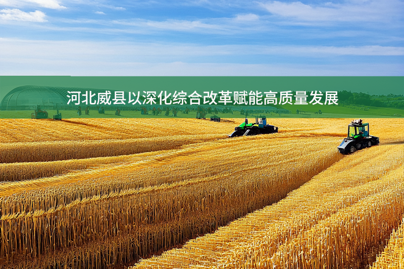 河北威縣以深化綜合改革賦能高質(zhì)量發(fā)展