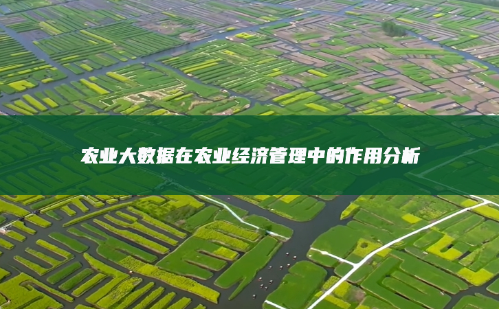 農業(yè)大數據在農業(yè)經濟管理中的作用分析