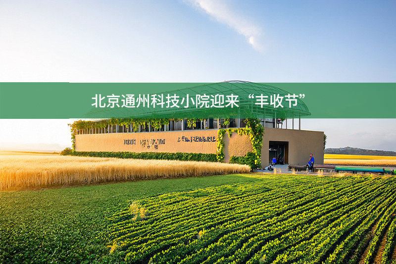 北京通州科技小院迎來“豐收節”